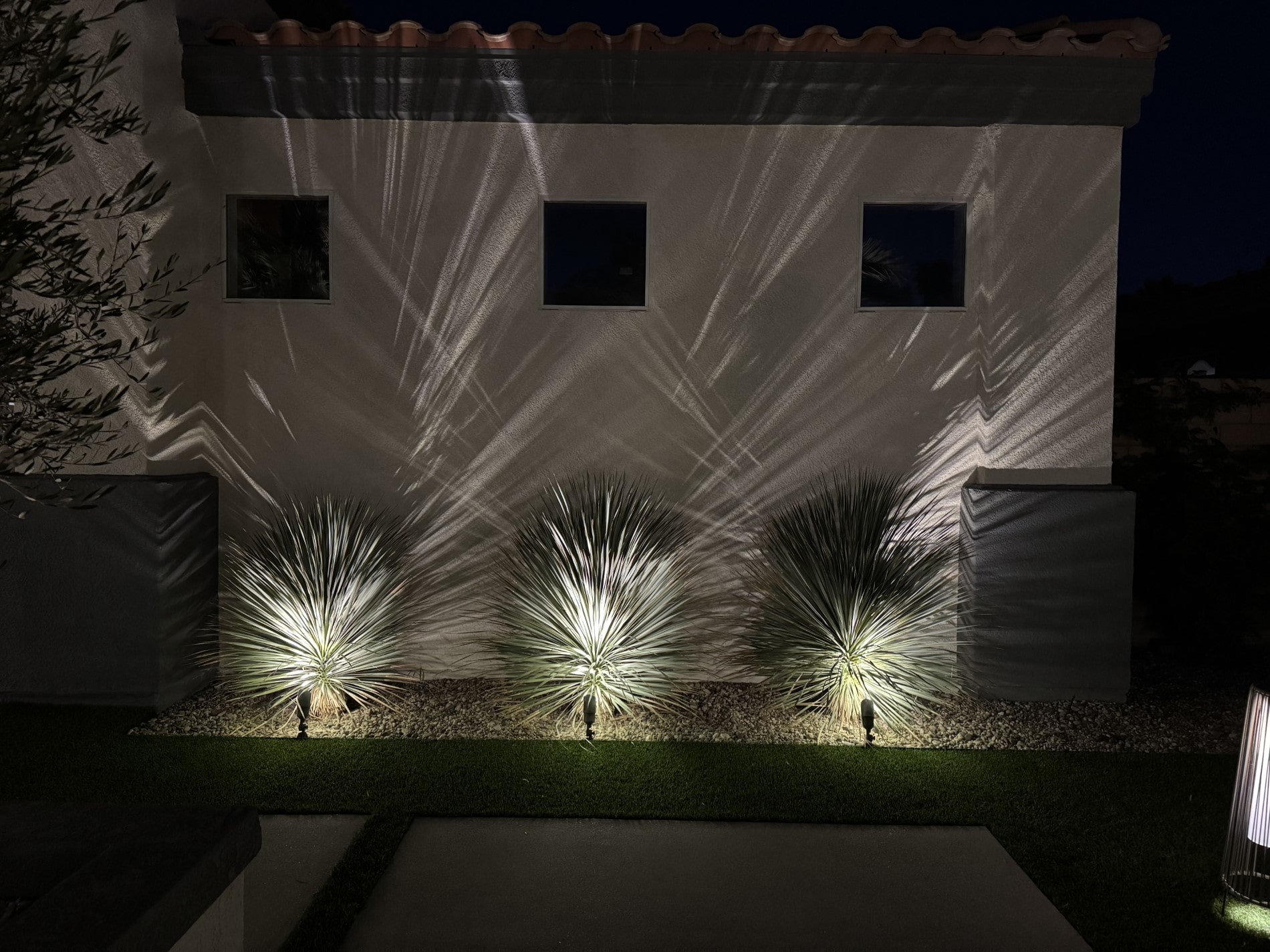 IMG_0074 (Custom)-min